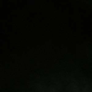 Meet your Posher, Shane